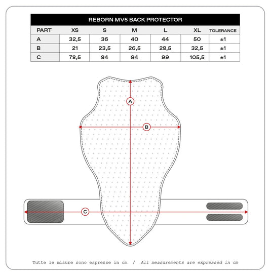 Paraschiena Reborn MV5